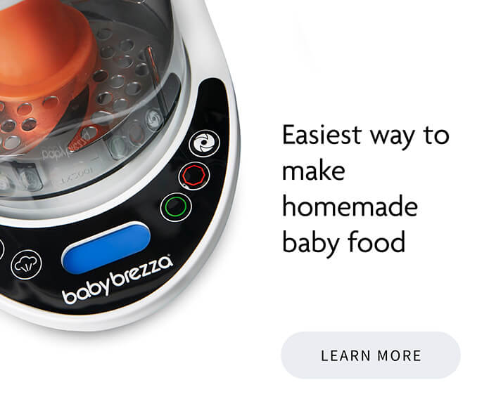Shop Baby Brezza Food Maker Deluxe