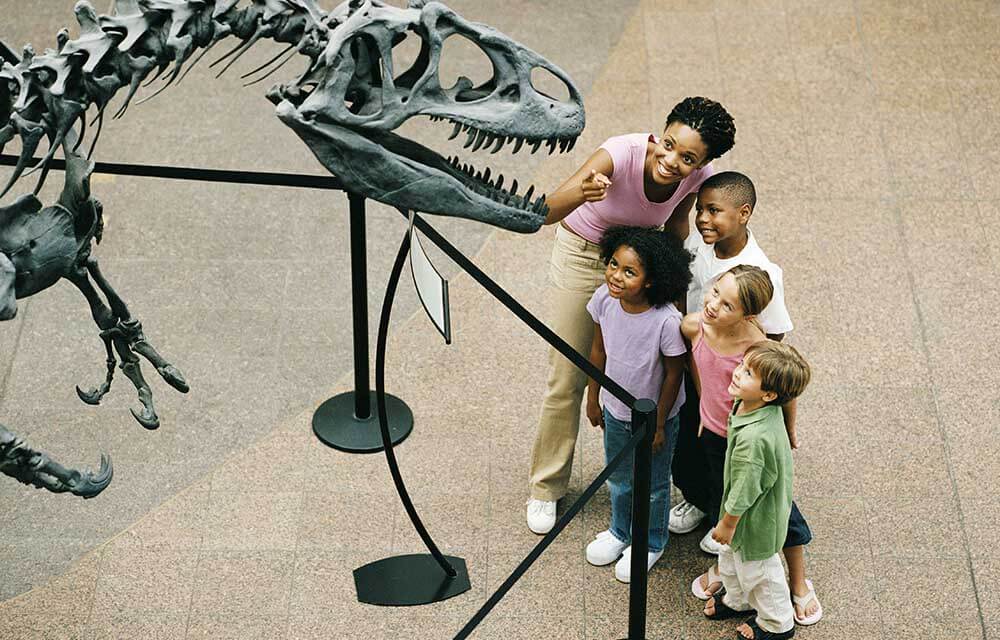 cosmos-blog_family_san-diego-natur99999al-history-museum