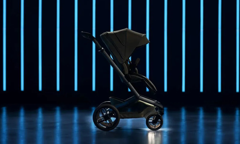 Maxi-Cosi Fame Autumn Image 2