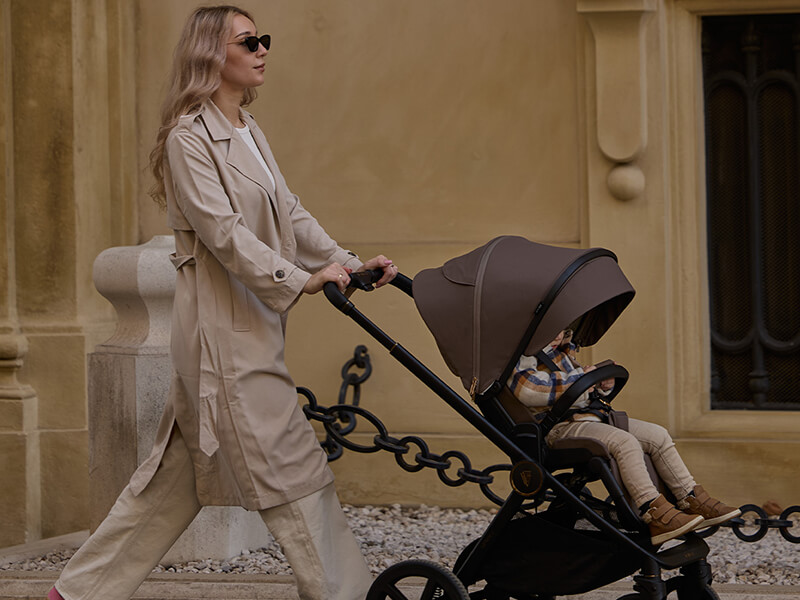 Venicci Upline 2 Brownie Blog Post Image 2