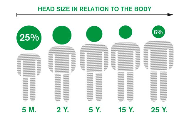 Pramworld Car Seat Buying Guide Head Size Chart